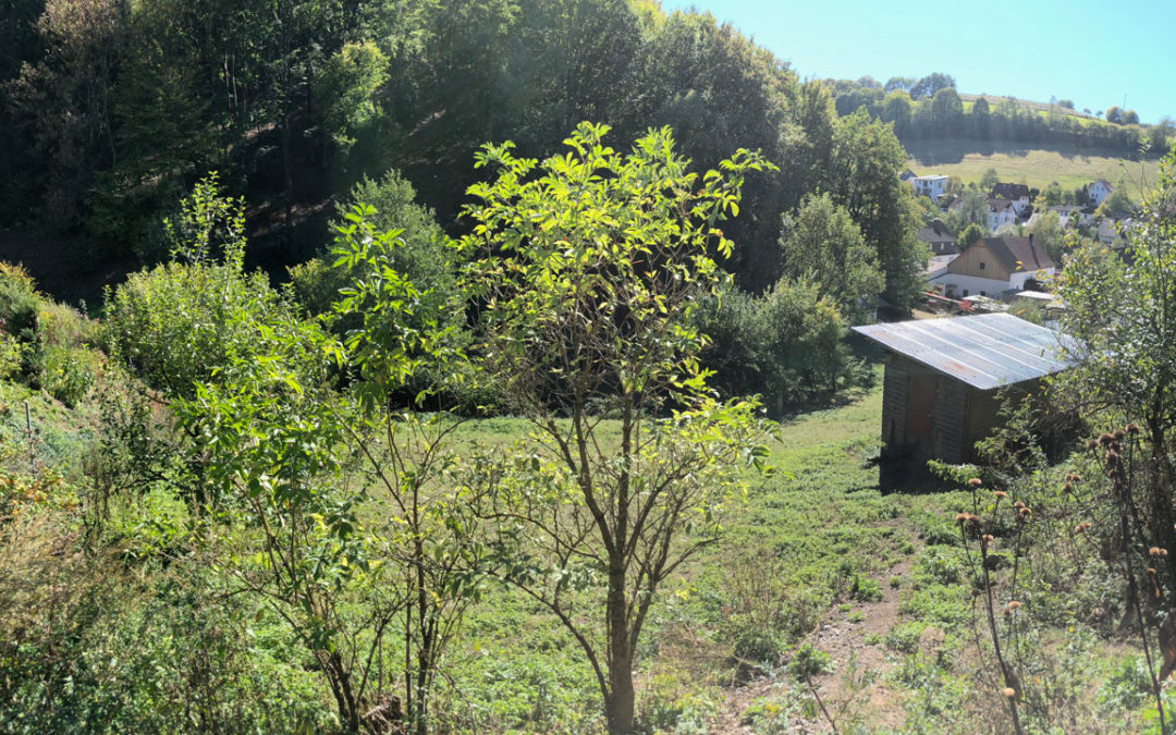 Grundstueck Haus am Hoehenflug