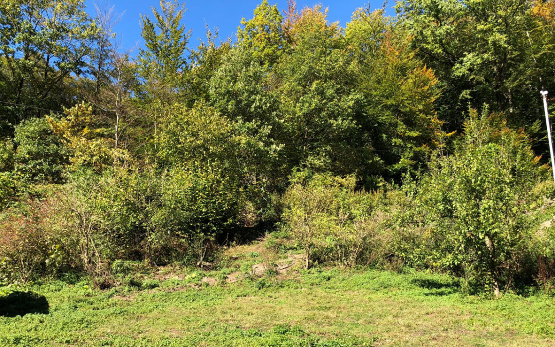 Planung Erdarbeiten Zufahrt und Garten